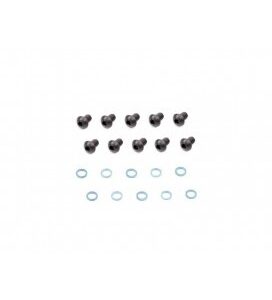 SHOCK CAP SCREW AND GASKET (10 pcs)